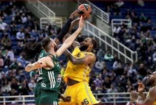 "Maccabi" palikęs Williamsas taps Grigonio komandos draugu